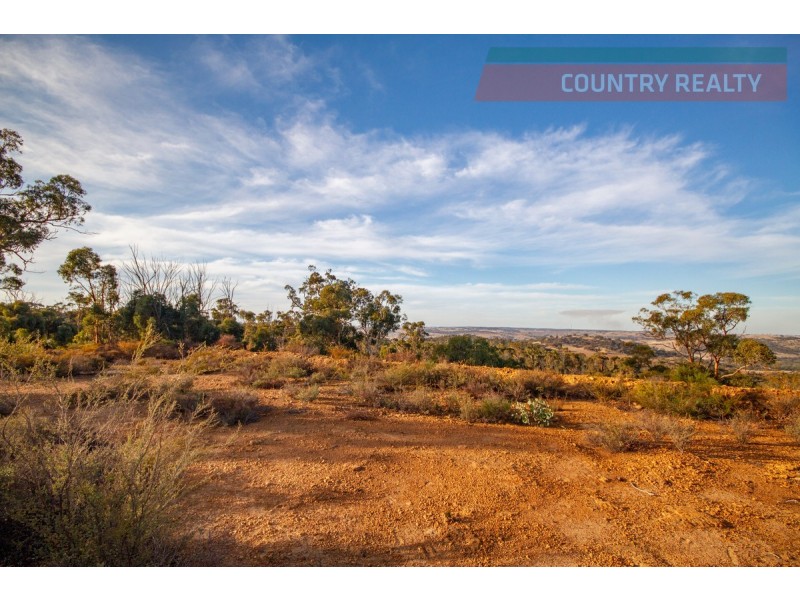 60 Sesselis Road, Toodyay WA 6566