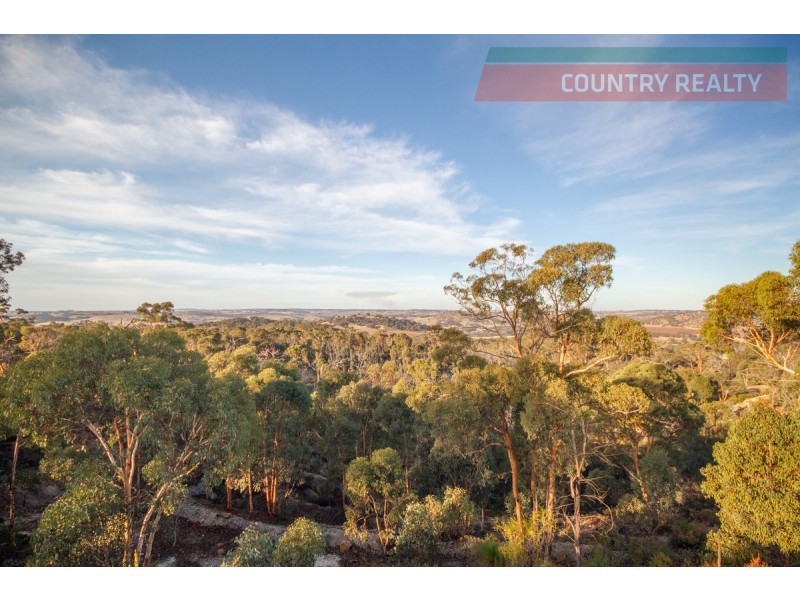 60 Sesselis Road, Toodyay WA 6566