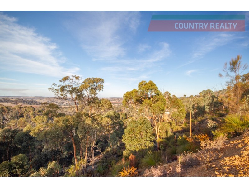 60 Sesselis Road, Toodyay WA 6566