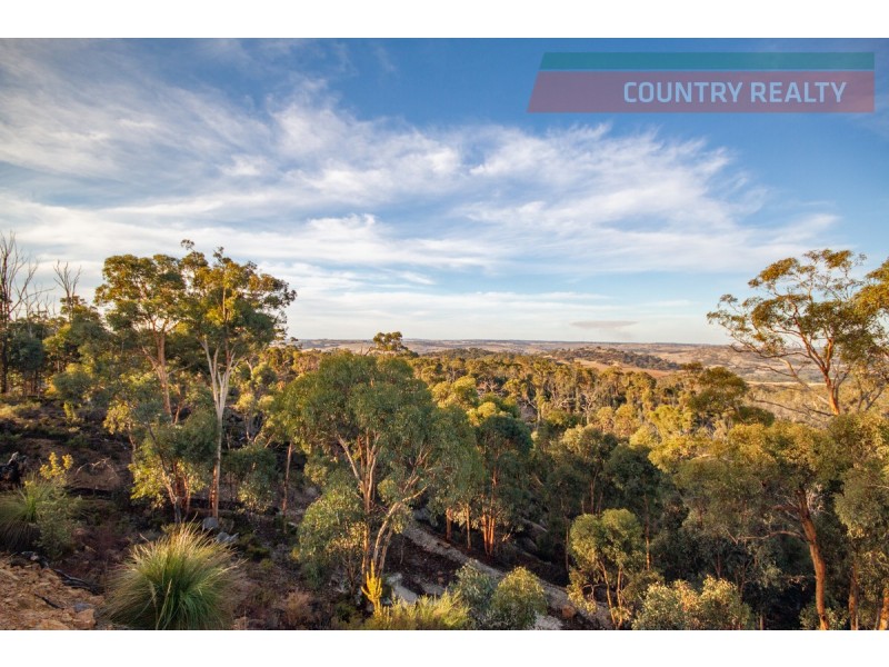 60 Sesselis Road, Toodyay WA 6566