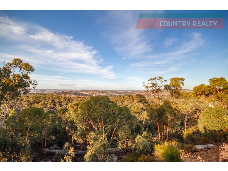 60 Sesselis Road, Toodyay WA 6566