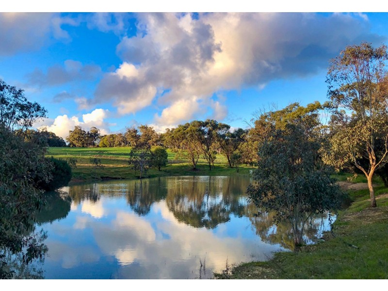 205 Sand Spring Road, Toodyay WA 6566