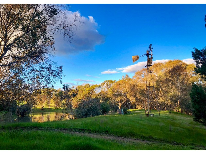 205 Sand Spring Road, Toodyay WA 6566