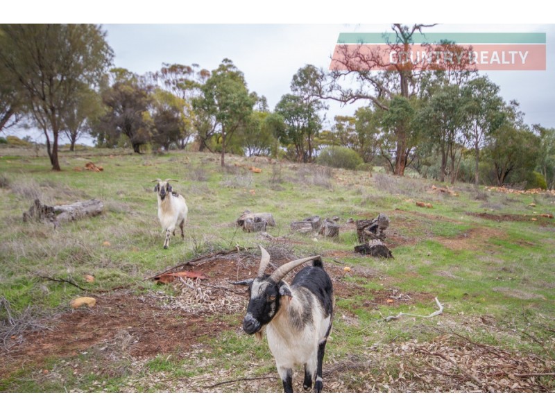 Lot 29 Harvey Road, Mokine WA 6401