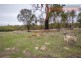 Lot 29 Harvey Road, Mokine WA 6401