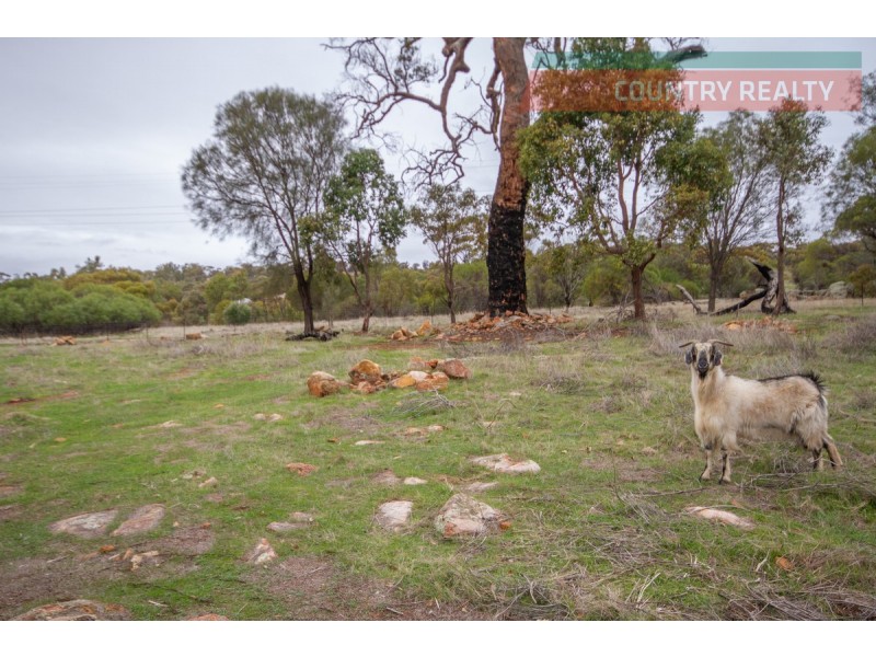 Lot 29 Harvey Road, Mokine WA 6401