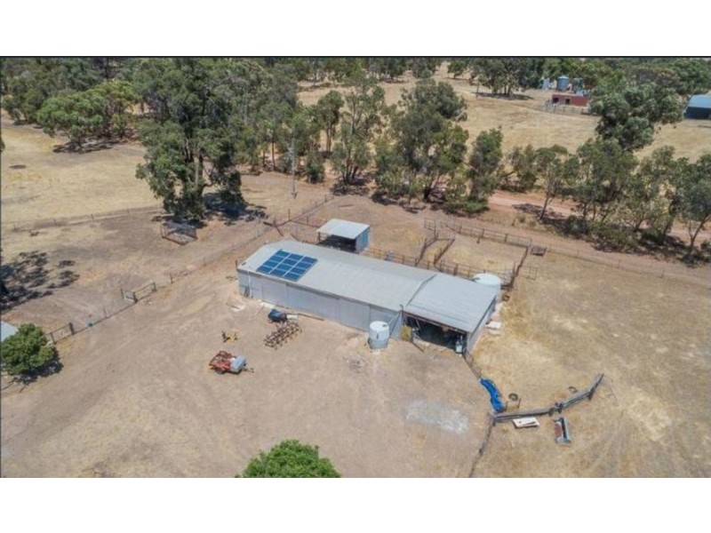 484 Chitty Road, Bakers Hill WA 6562