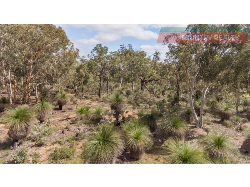 25 Laterite Way, Toodyay WA 6566