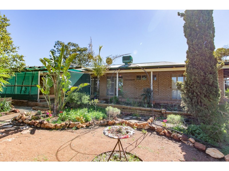 Jennacubbine WA 6401