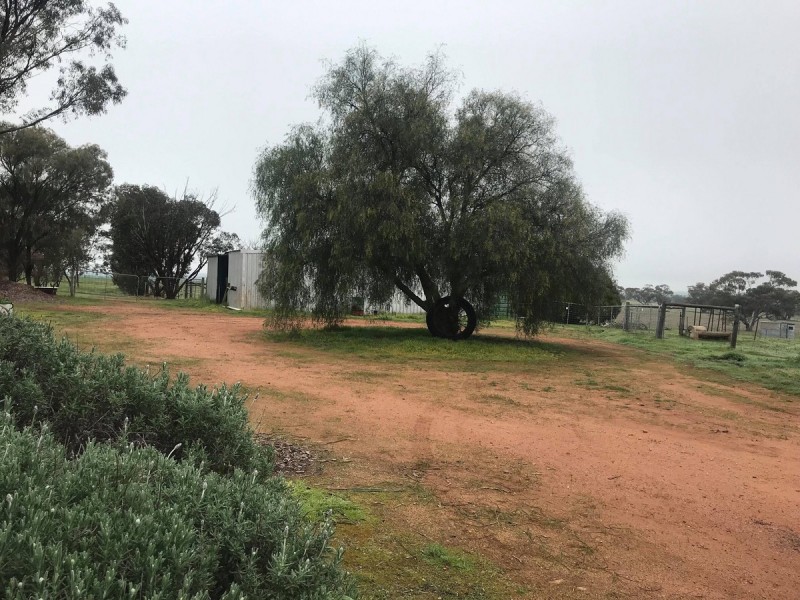 Jennacubbine WA 6401