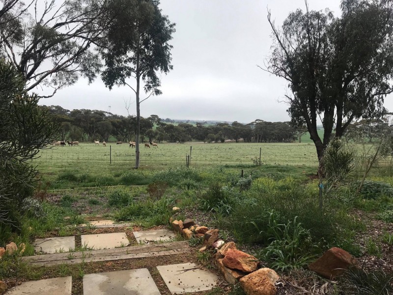 Jennacubbine WA 6401