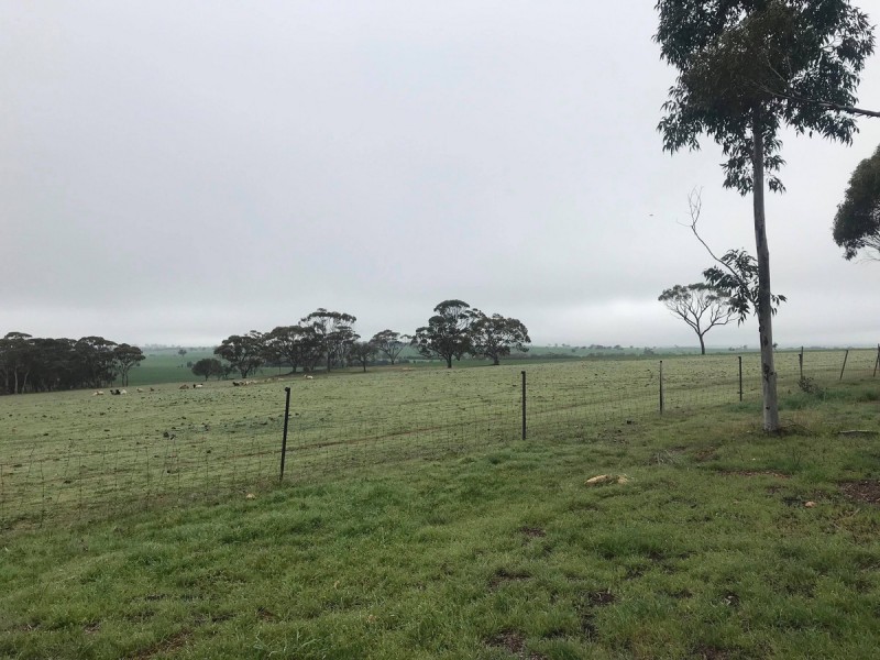 Jennacubbine WA 6401