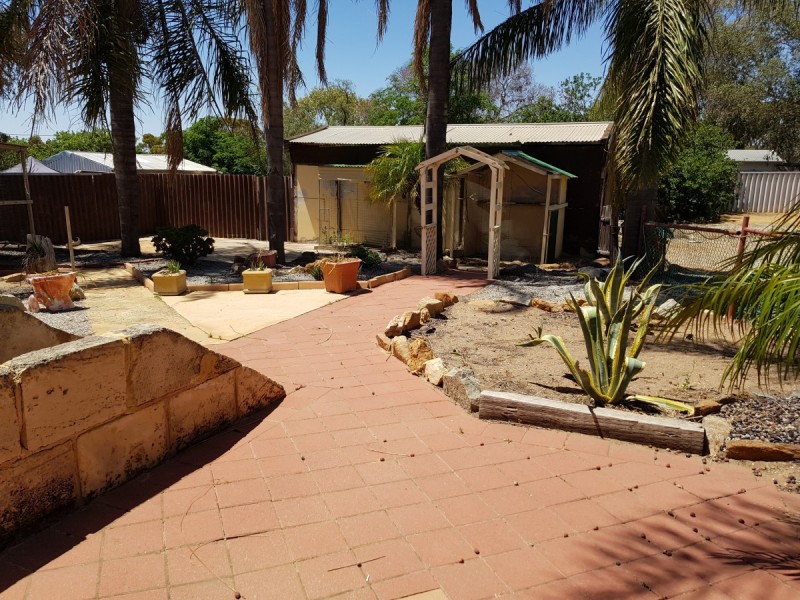 56 James Street, Goomalling WA 6460