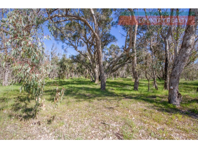 45 Blue Gum Way, Toodyay WA 6566