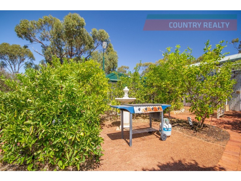 8 Thorn Street, York WA 6302