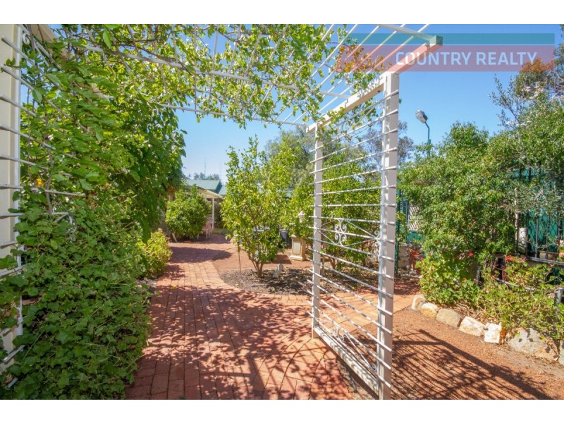 8 Thorn Street, York WA 6302