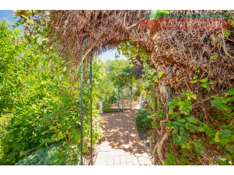 8 Thorn Street, York WA 6302