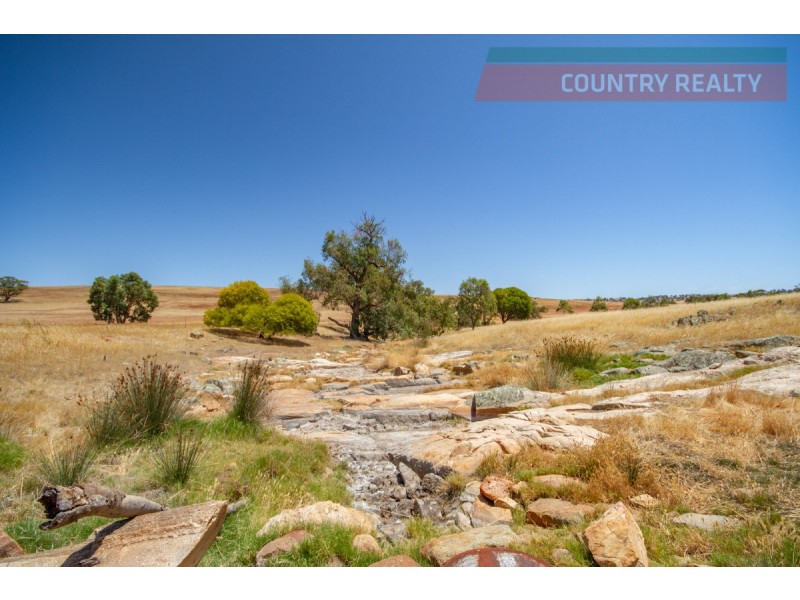 205 Dumbarton Road, Toodyay WA 6566