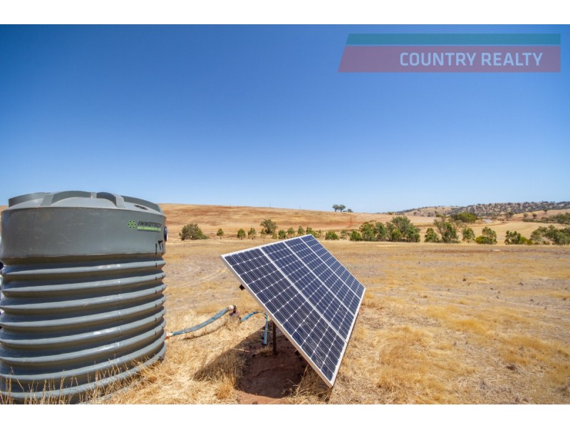 205 Dumbarton Road, Toodyay WA 6566