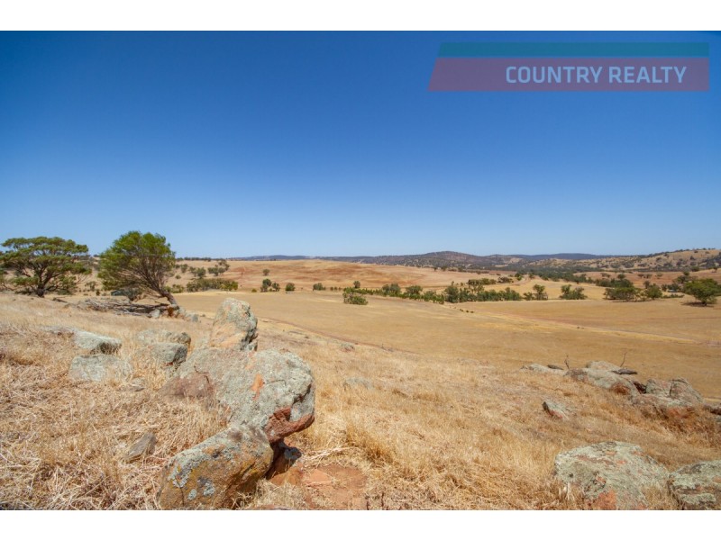 205 Dumbarton Road, Toodyay WA 6566