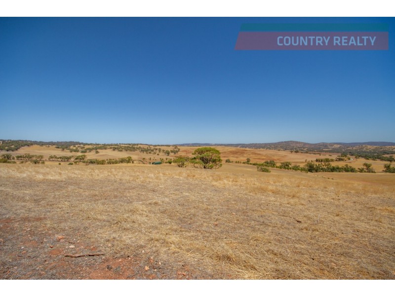205 Dumbarton Road, Toodyay WA 6566