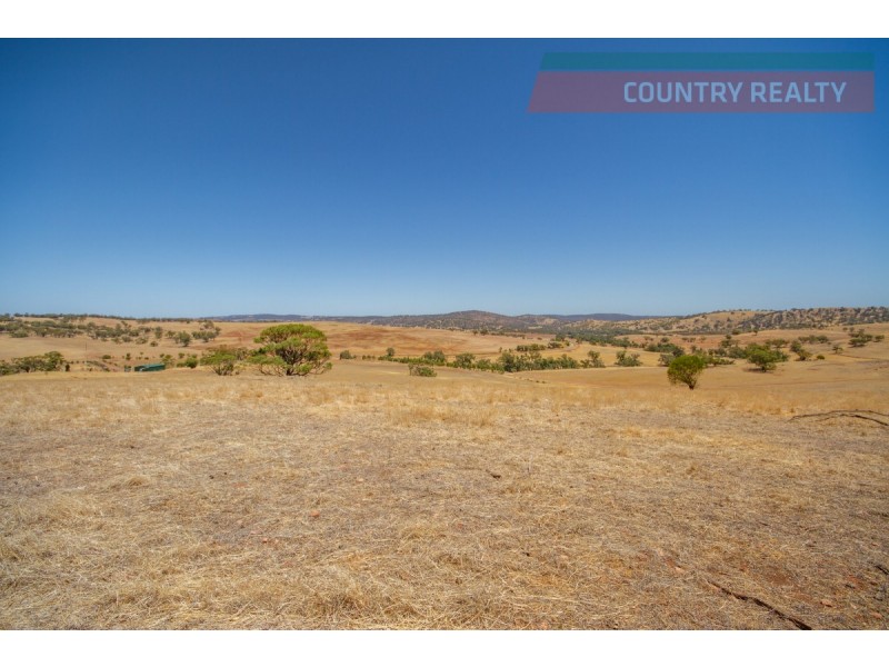 205 Dumbarton Road, Toodyay WA 6566