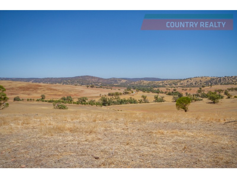 205 Dumbarton Road, Toodyay WA 6566