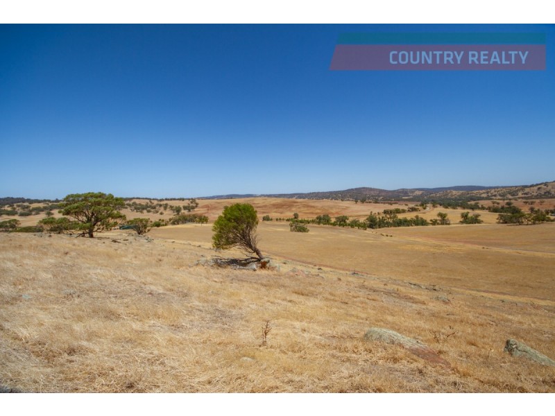 205 Dumbarton Road, Toodyay WA 6566