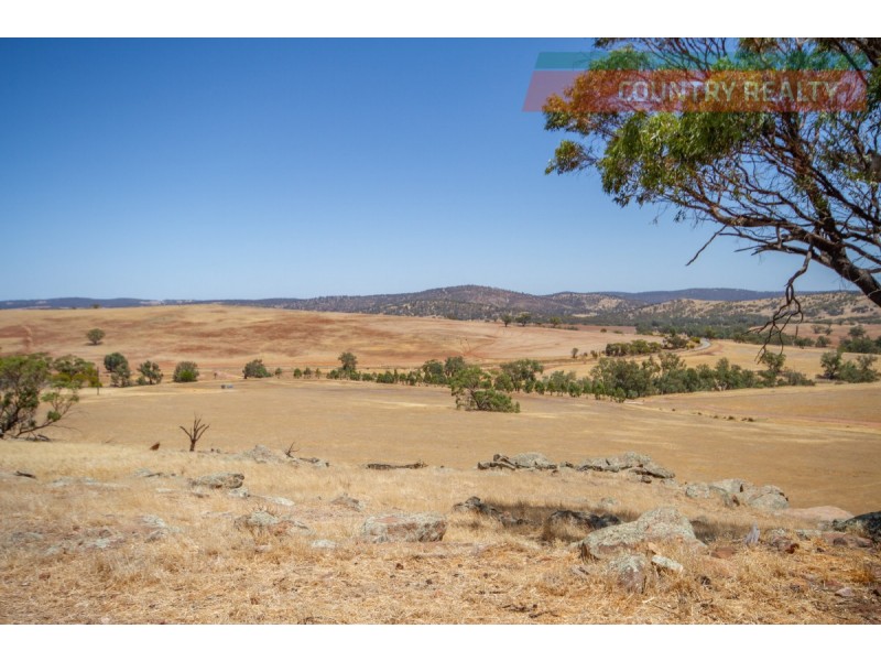 205 Dumbarton Road, Toodyay WA 6566