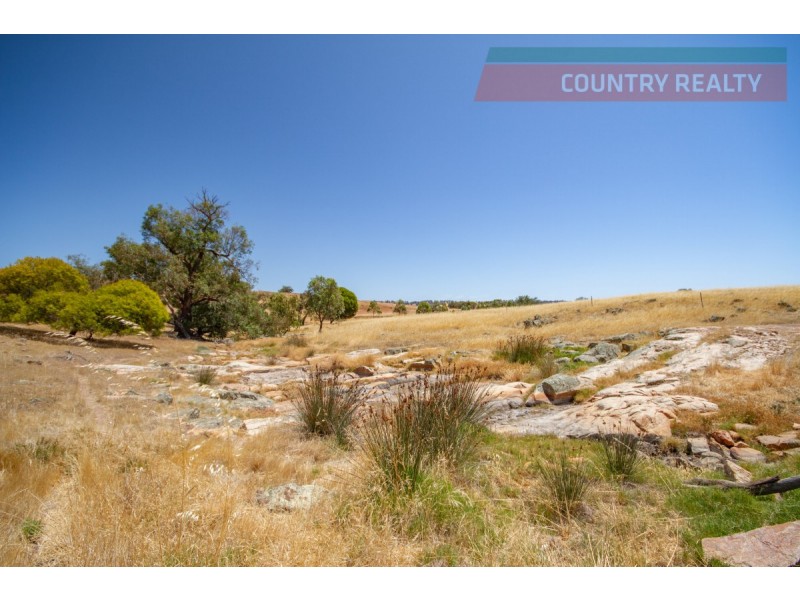 205 Dumbarton Road, Toodyay WA 6566