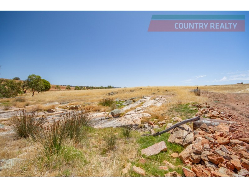 205 Dumbarton Road, Toodyay WA 6566