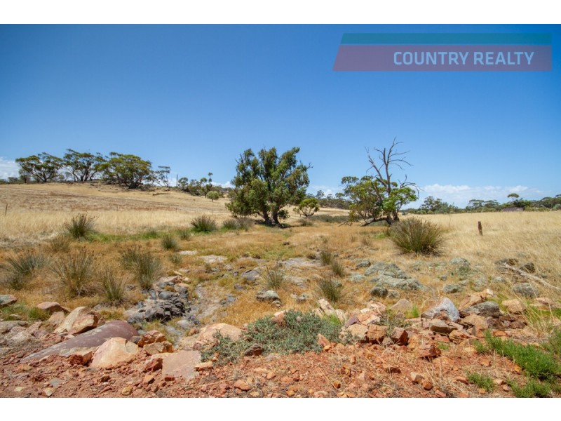 205 Dumbarton Road, Toodyay WA 6566