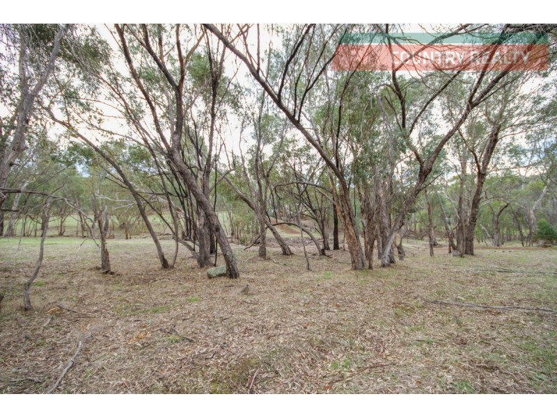 580 Julimar Road, Toodyay WA 6566
