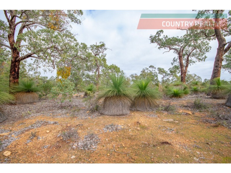 56 Darwinia Crescent, Toodyay WA 6566