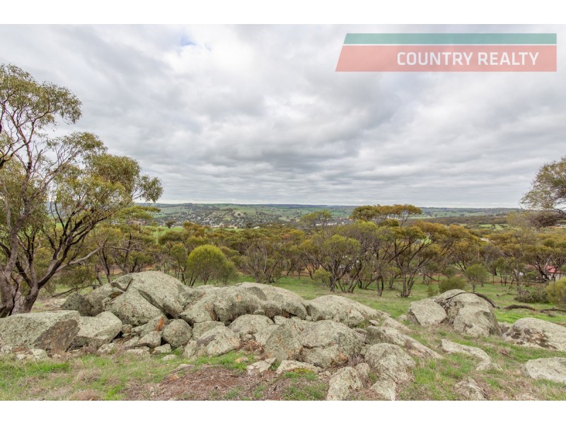 156 Folewood Road, Toodyay WA 6566