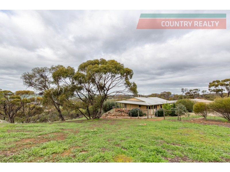 156 Folewood Road, Toodyay WA 6566