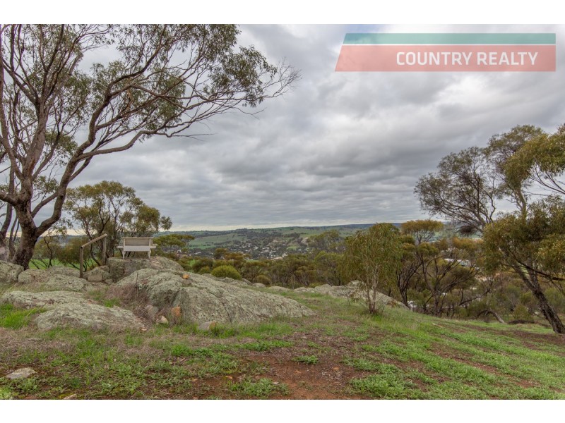 156 Folewood Road, Toodyay WA 6566