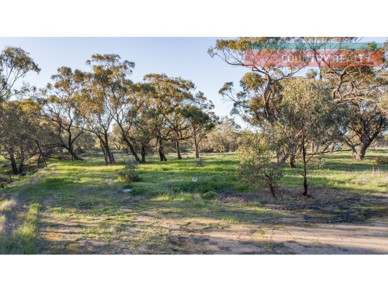 19 Barndon Street, Spencers Brook WA 6401