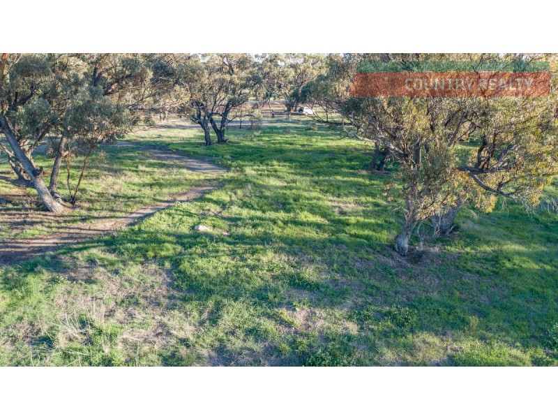 19 Barndon Street, Spencers Brook WA 6401