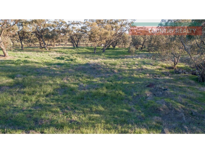 19 Barndon Street, Spencers Brook WA 6401