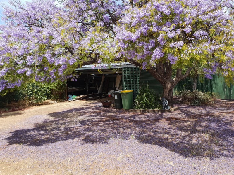 37 Hampton Street,, Northam WA 6401