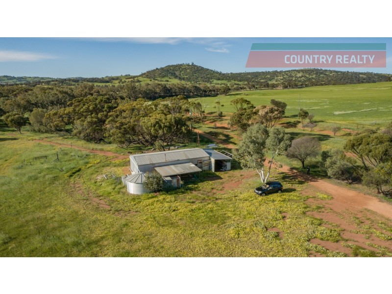 6176 Toodyay Road, Dumbarton WA 6566