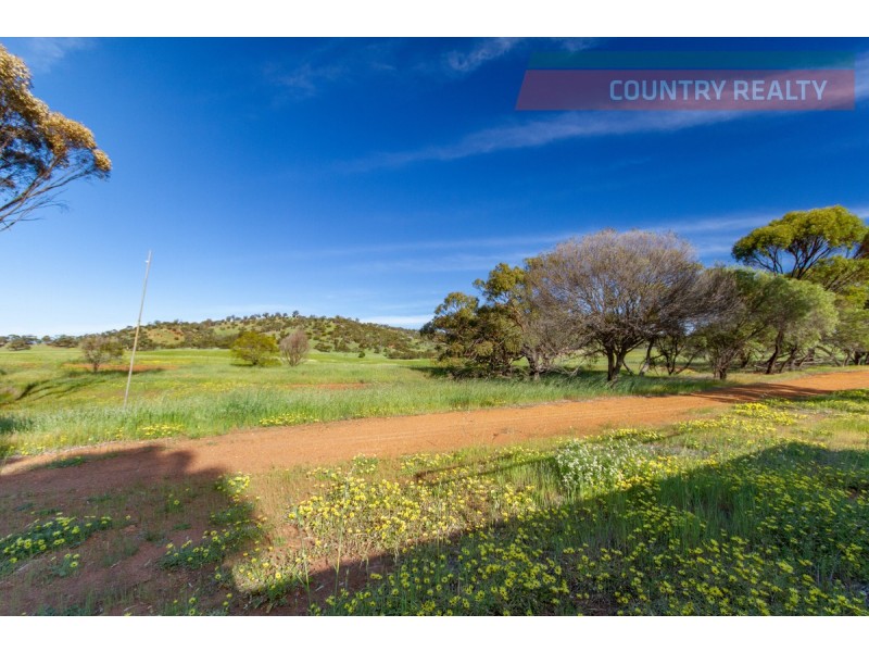 6176 Toodyay Road, Dumbarton WA 6566