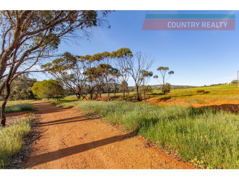 6176 Toodyay Road, Dumbarton WA 6566
