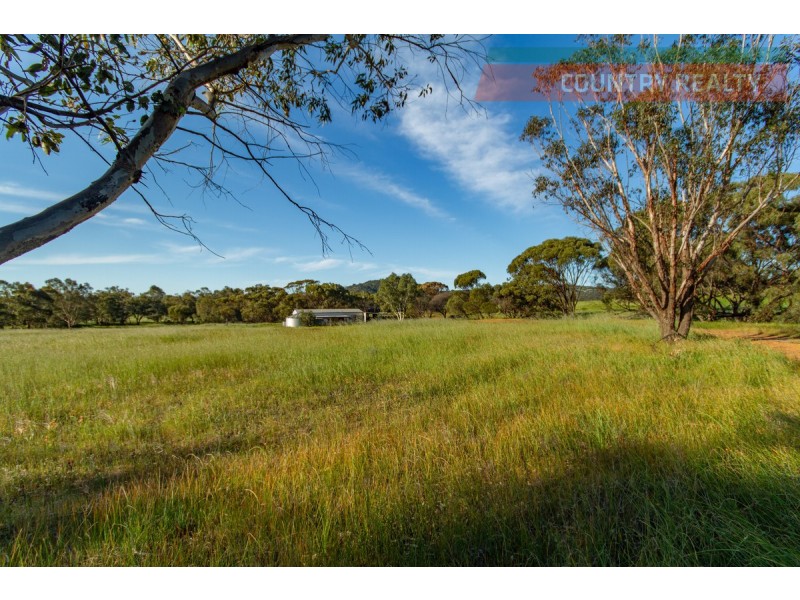 6176 Toodyay Road, Dumbarton WA 6566