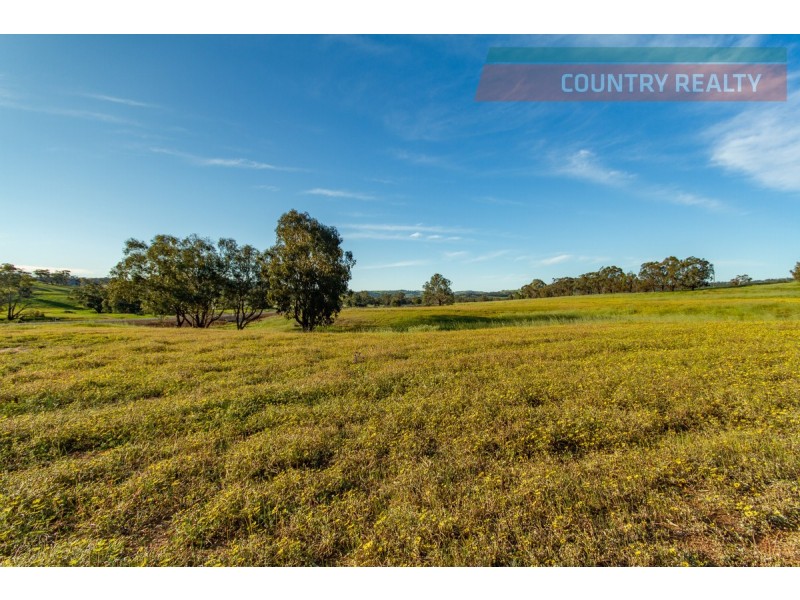 6176 Toodyay Road, Dumbarton WA 6566
