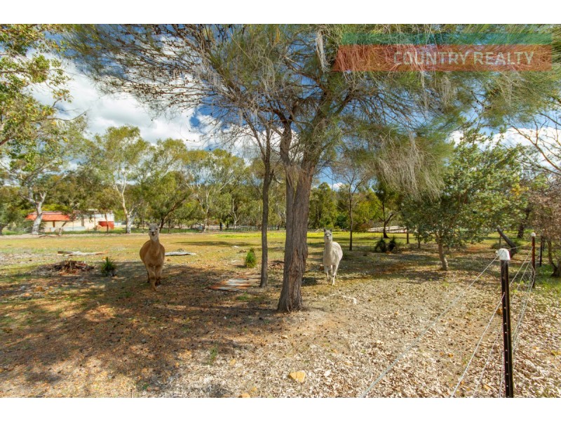 241 Sandplain Road, Toodyay WA 6566