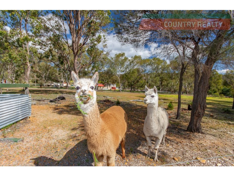 241 Sandplain Road, Toodyay WA 6566