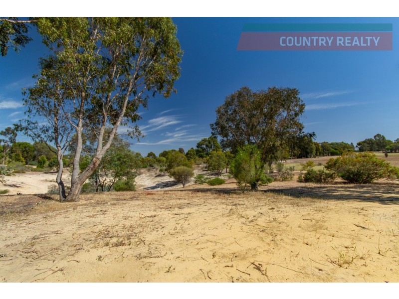 53 Fargo Way, Toodyay WA 6566