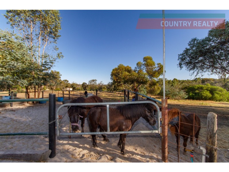 150 Sand Spring Road, Toodyay WA 6566